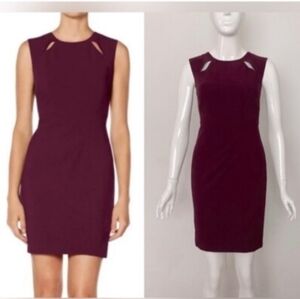 Sleeveless Burgundy Shift Dress Sophie Theallet for The Limited
